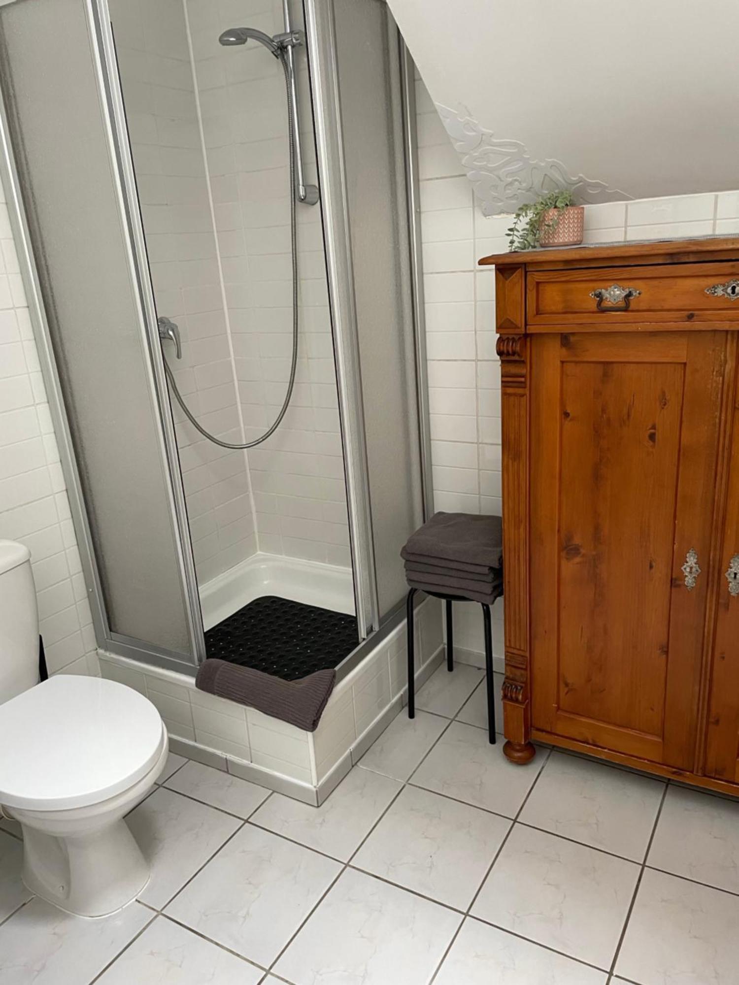 Guest house Brzozowy Gaj *