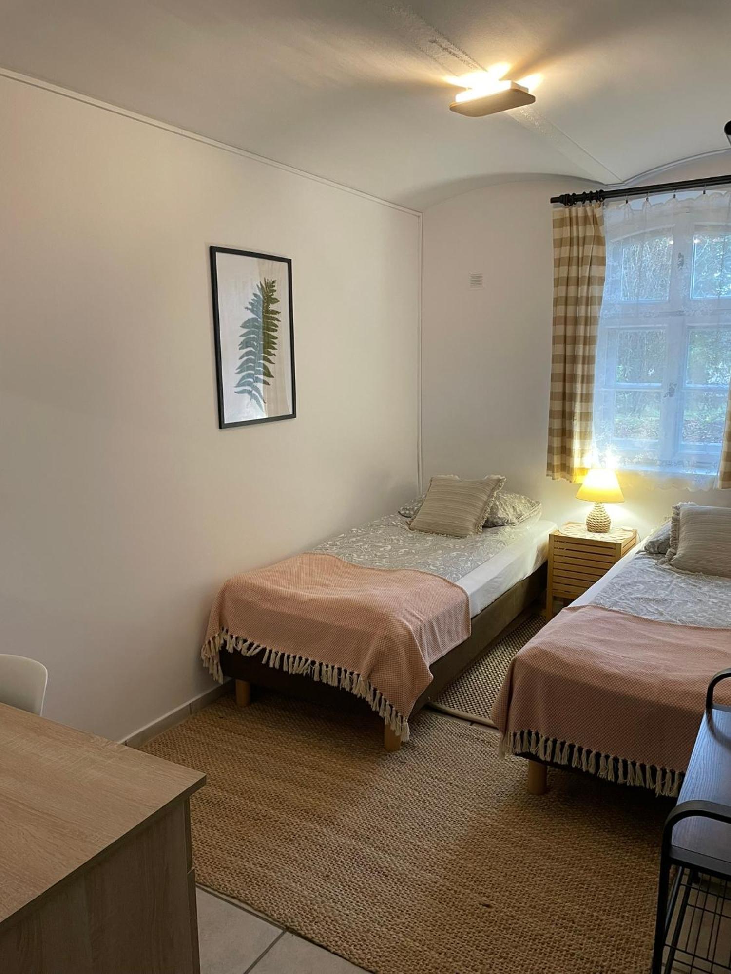 Brzozowy Gaj Guest house *